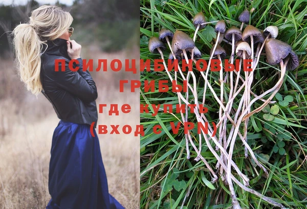 спиды Беломорск