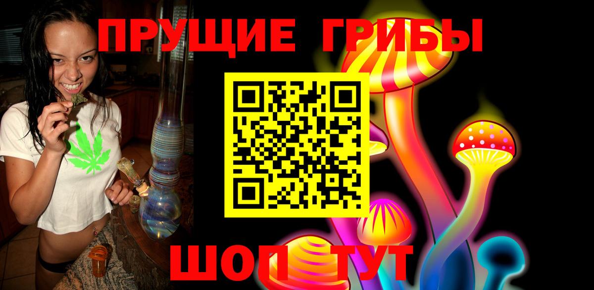 Галлюциногенные грибы Psilocybine cubensis  Вход с VPN  Галлюциногенные грибы Psilocybine cubensis  Ногинск 